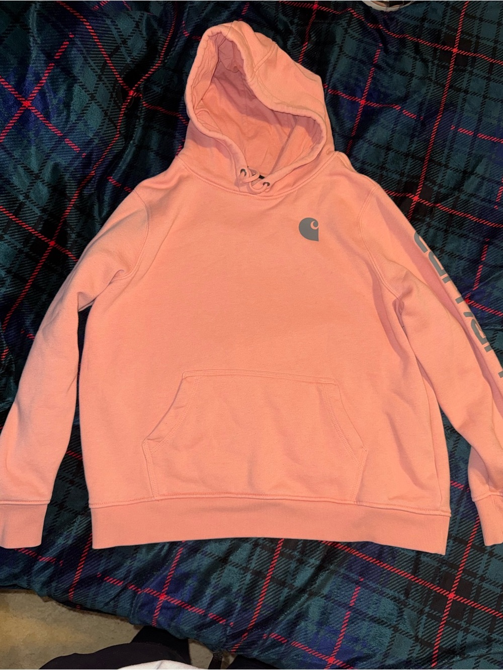 Carhartt Hooded Sweatshirt